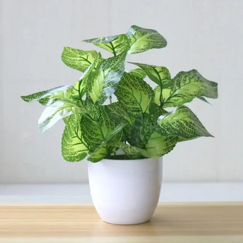 Everleaf Bonsai Plant Pot