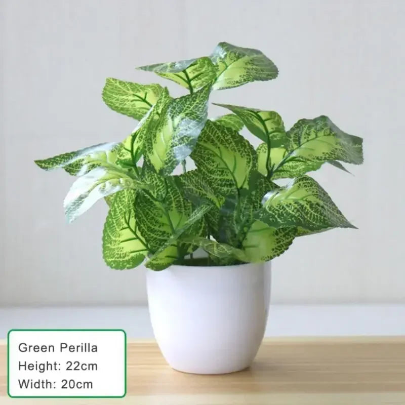 Everleaf Bonsai Plant Pot