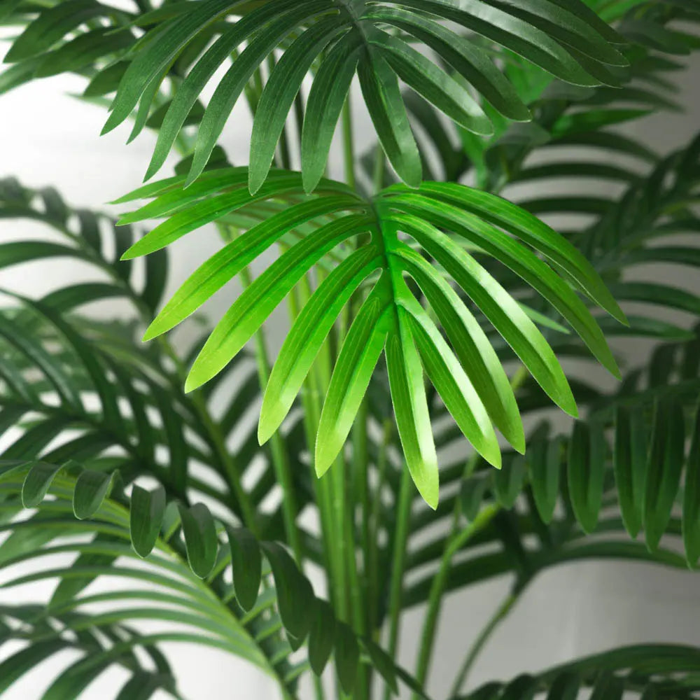 The Rivera Palm