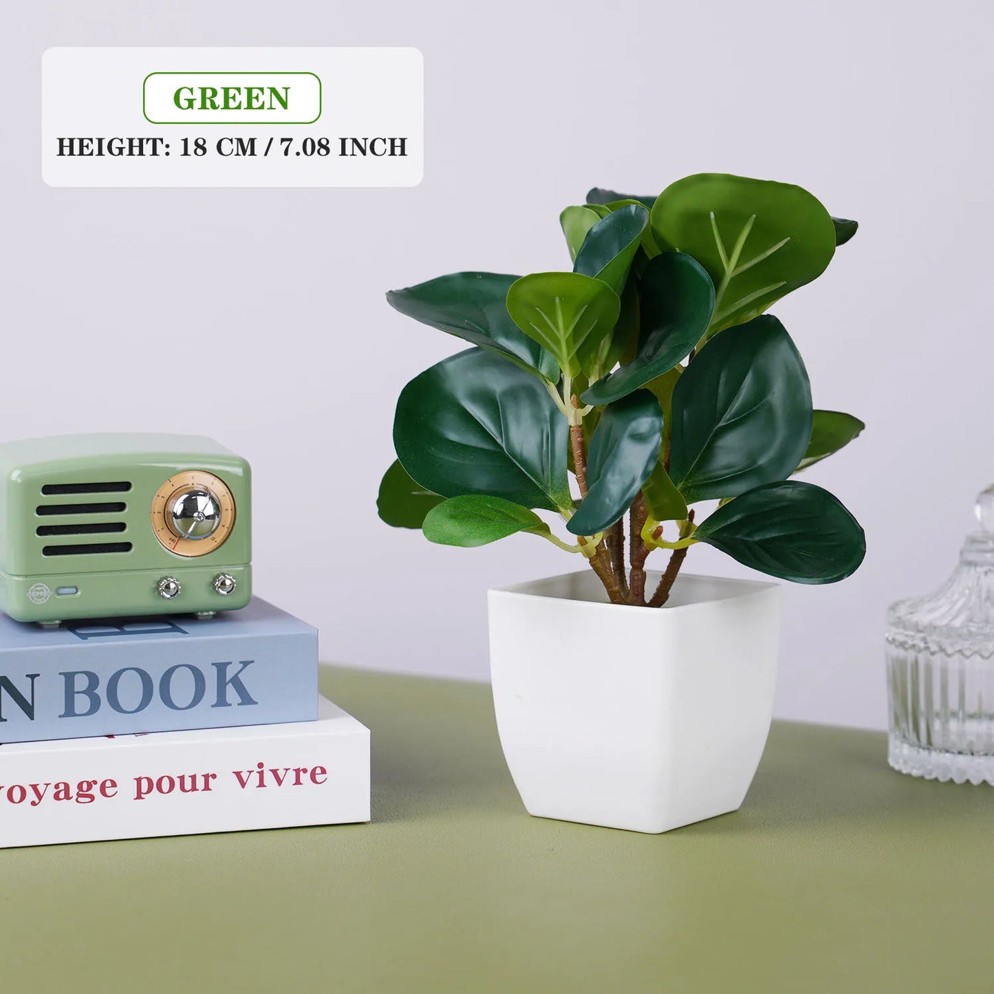 Evergreen Mini Bonsai