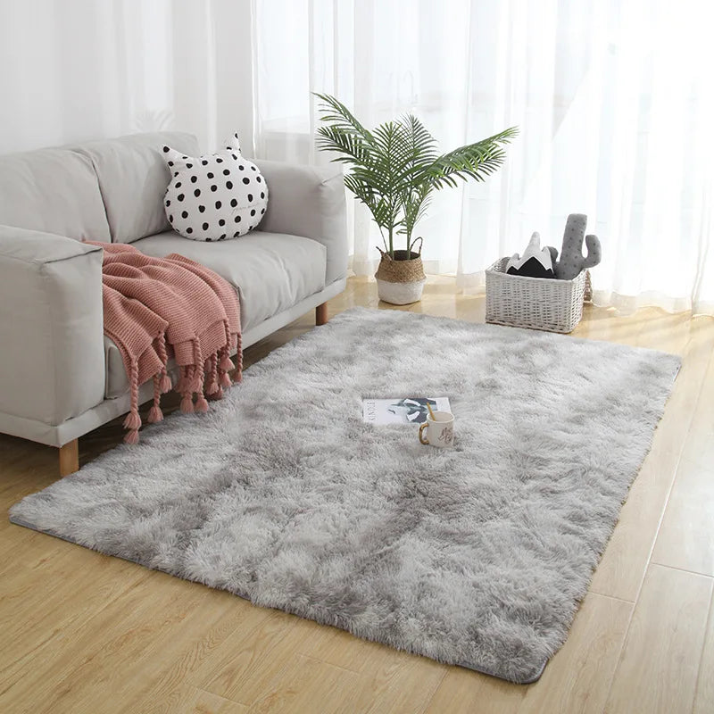 Plush cosy fluffy carpet