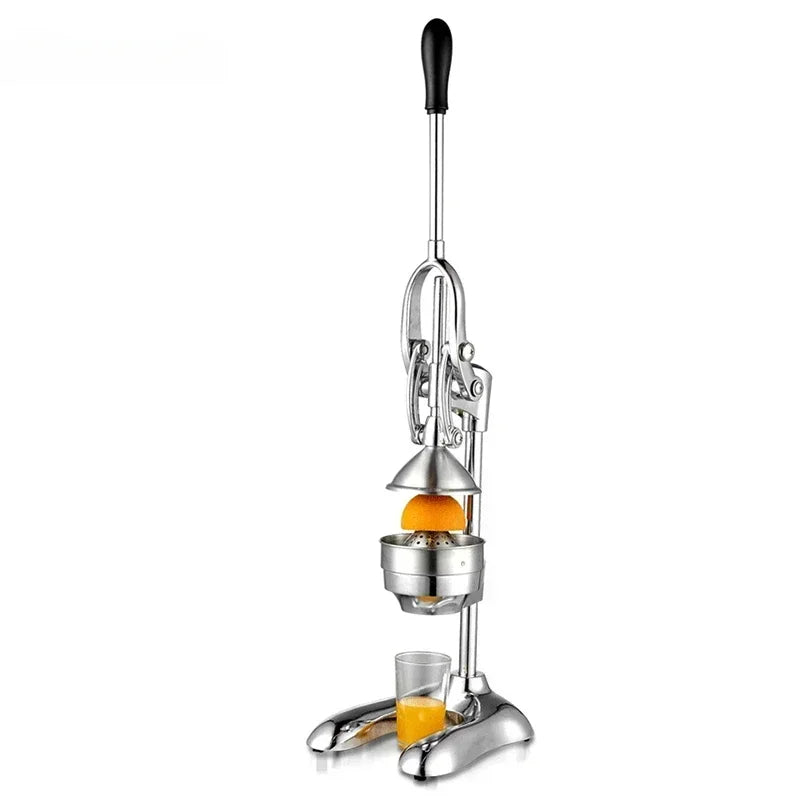 ProPress Stainless Steel Juicer