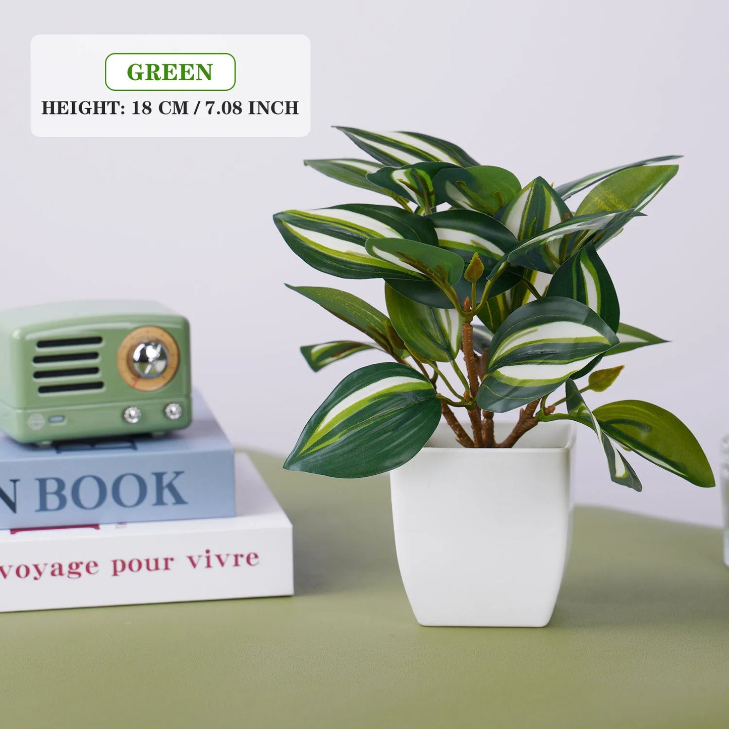 Evergreen Mini Bonsai