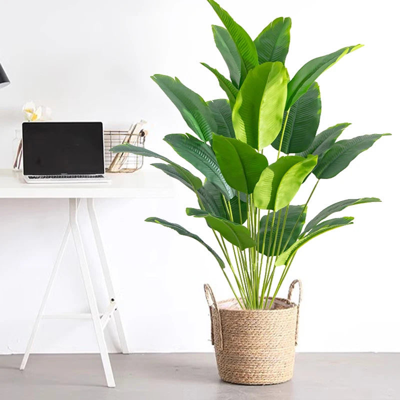 Tropical Palm Tree
